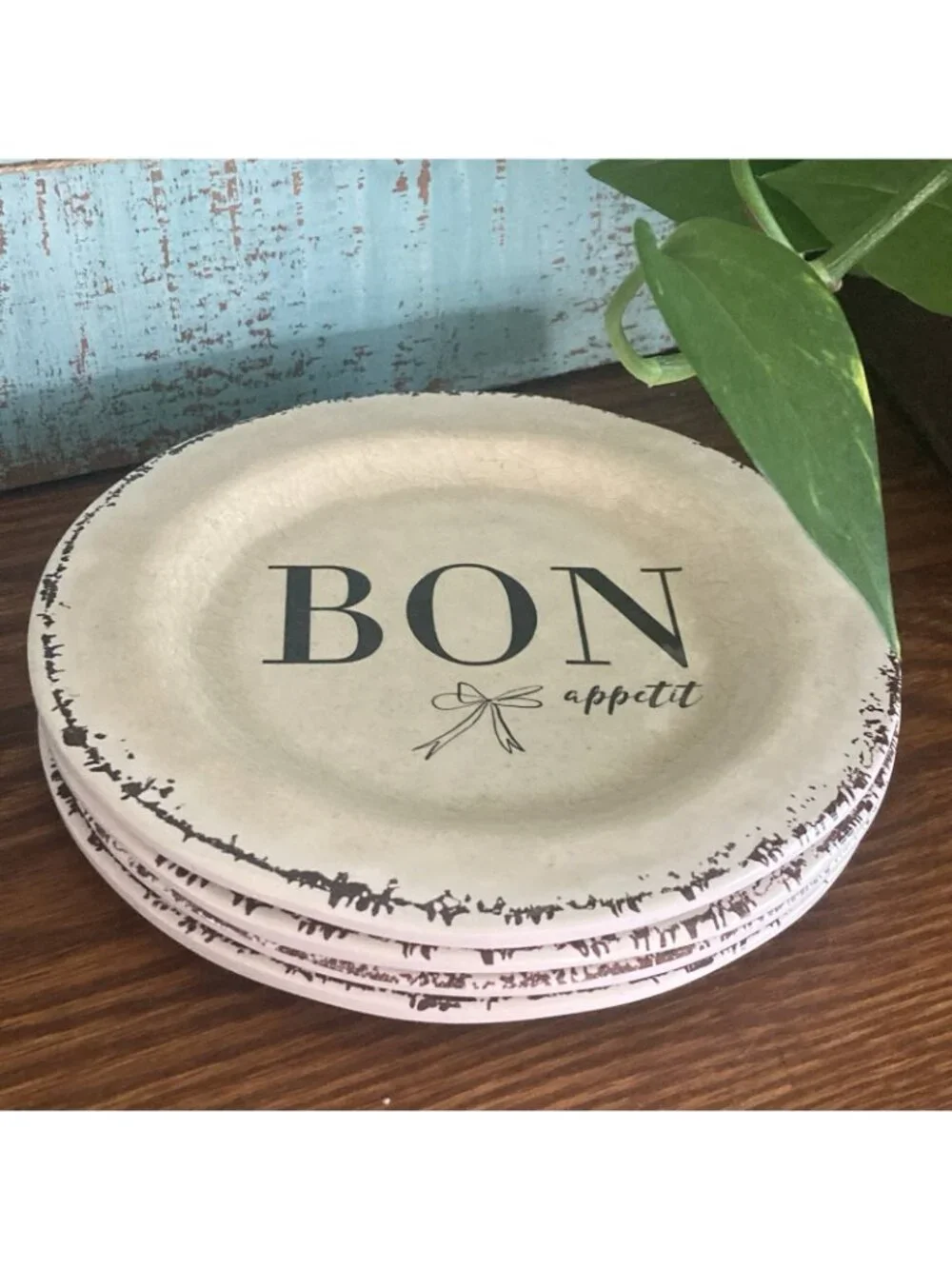 Santa Barbara Design Studio BON Appetit Melamine Plates 4 Rustic Appetizer 6”
